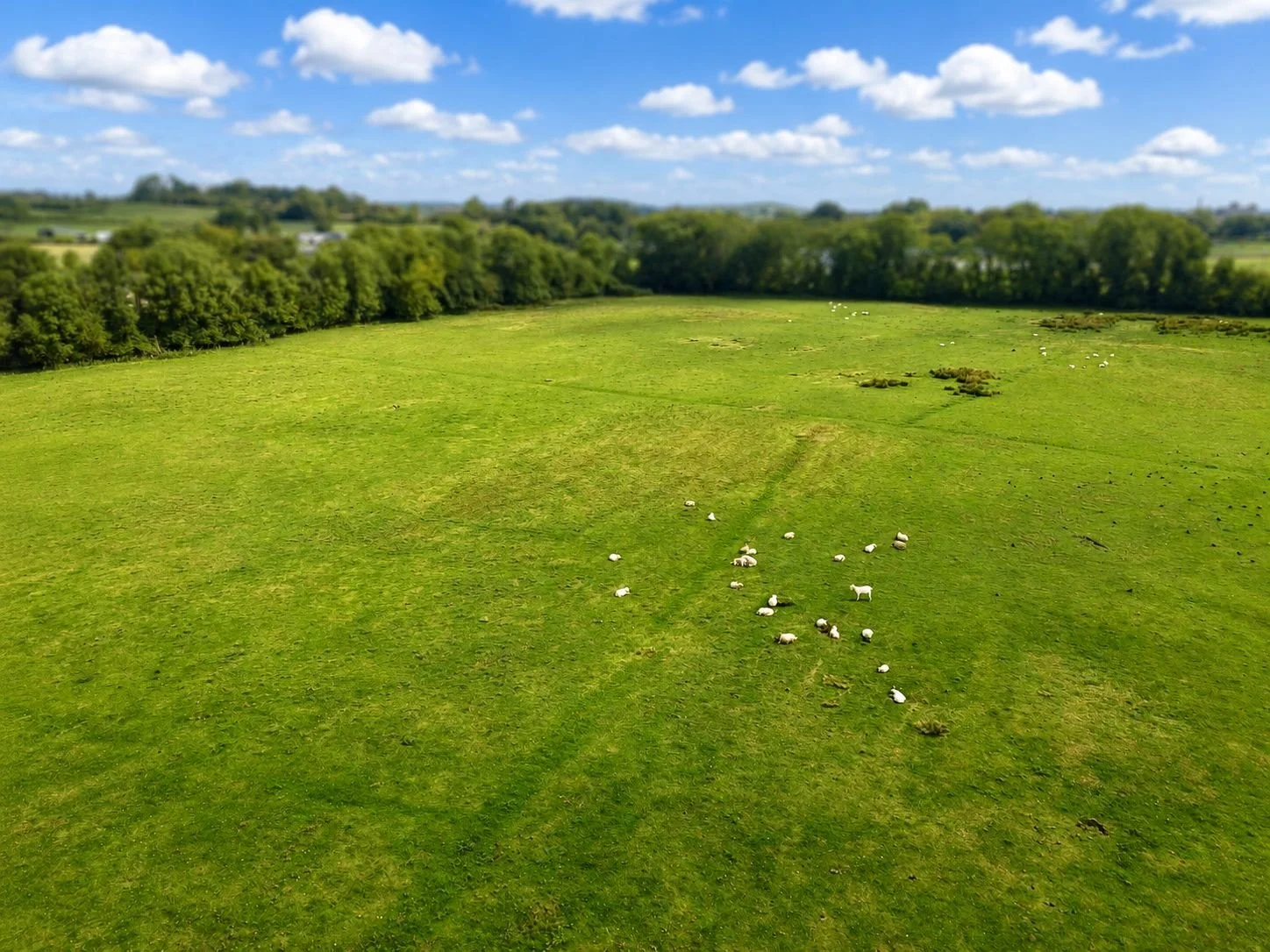 aerial 2.jpg