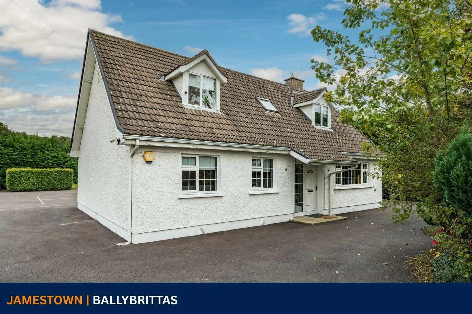 House For Sale - Jamestown, Ballybrittas (30).jpg