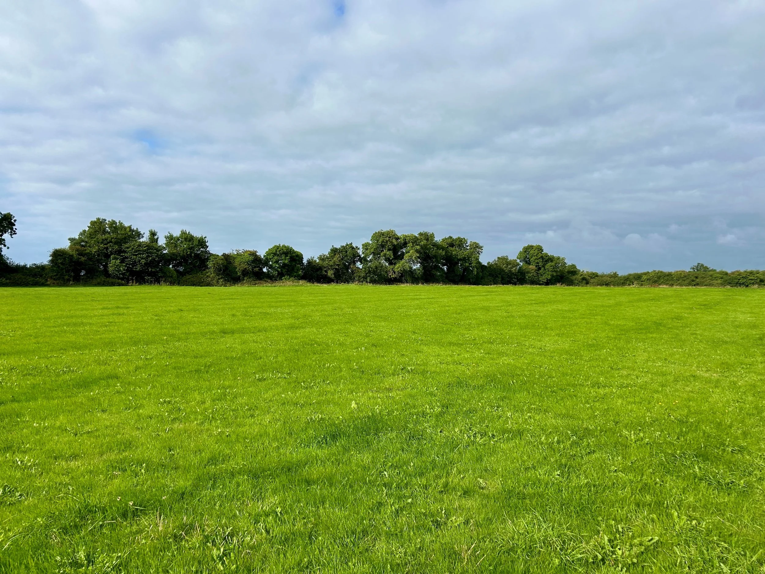 61 Acres, Cooltrim.jpg
