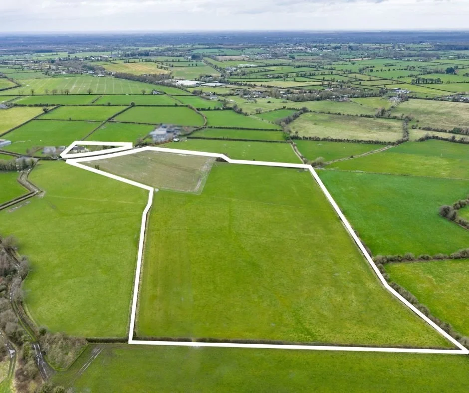 0144_D copy (Canva).jpg