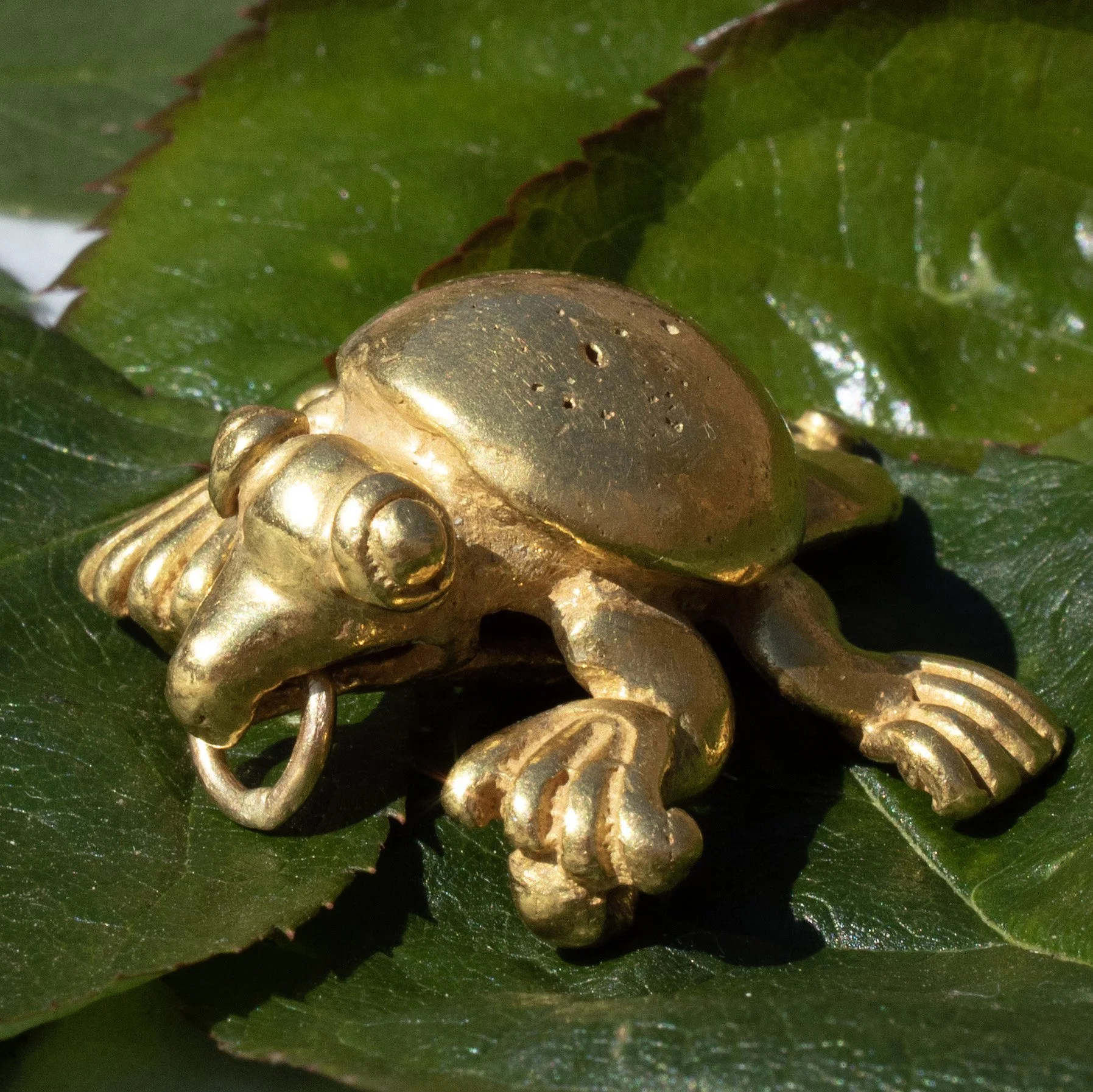 turtle sq.jpg