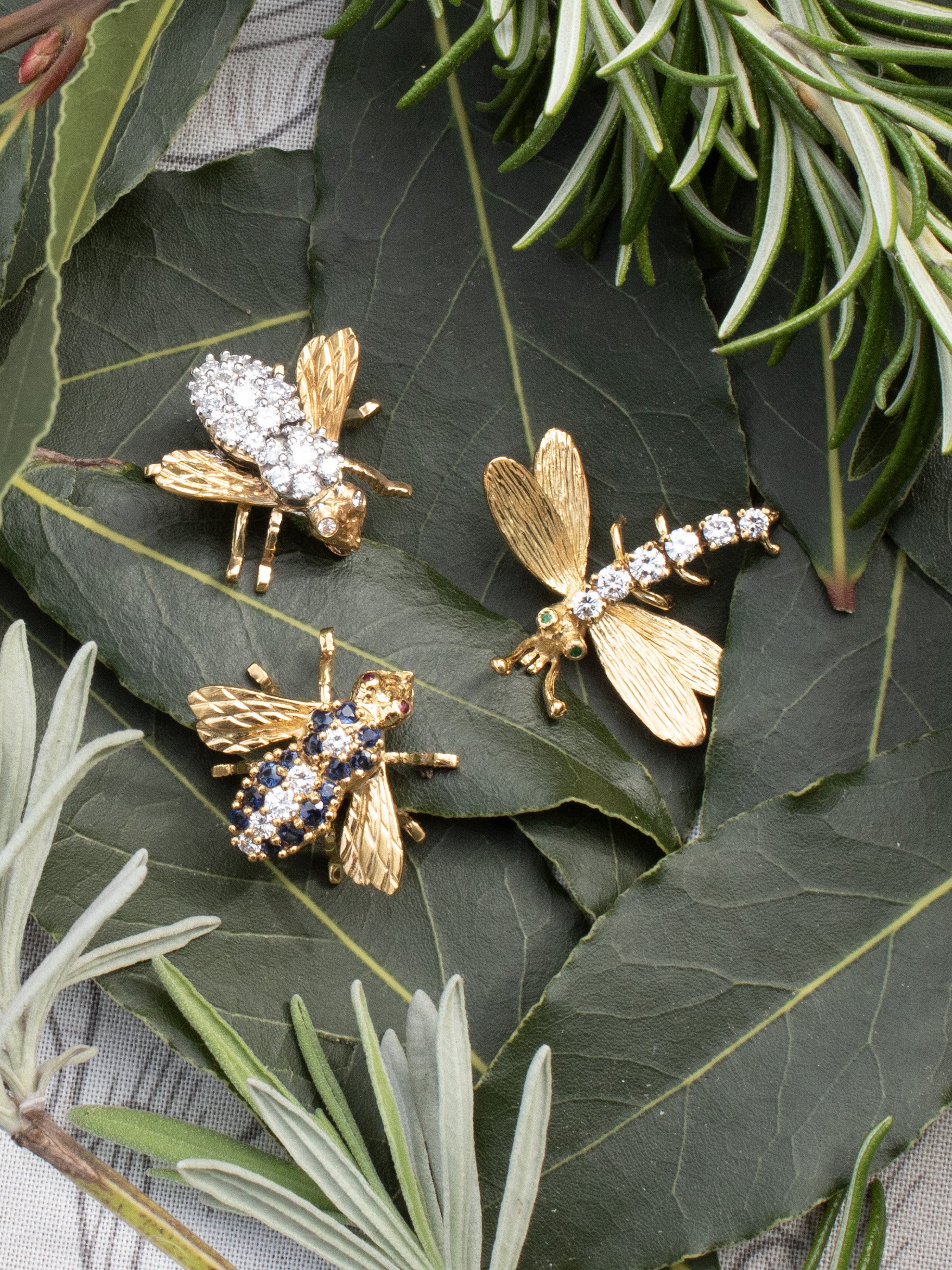 bees.jpg