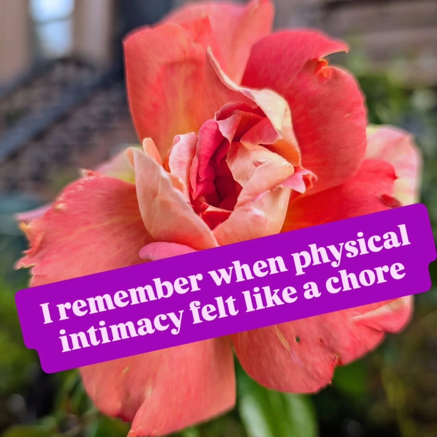 I remember when physical intimacy felt like a chore. It wasn't that I didn't care, or want the connection with my partner.
I was overwhelmed with life, uncomfortable feelings, shame, a massive to do list including work and small children, and I did