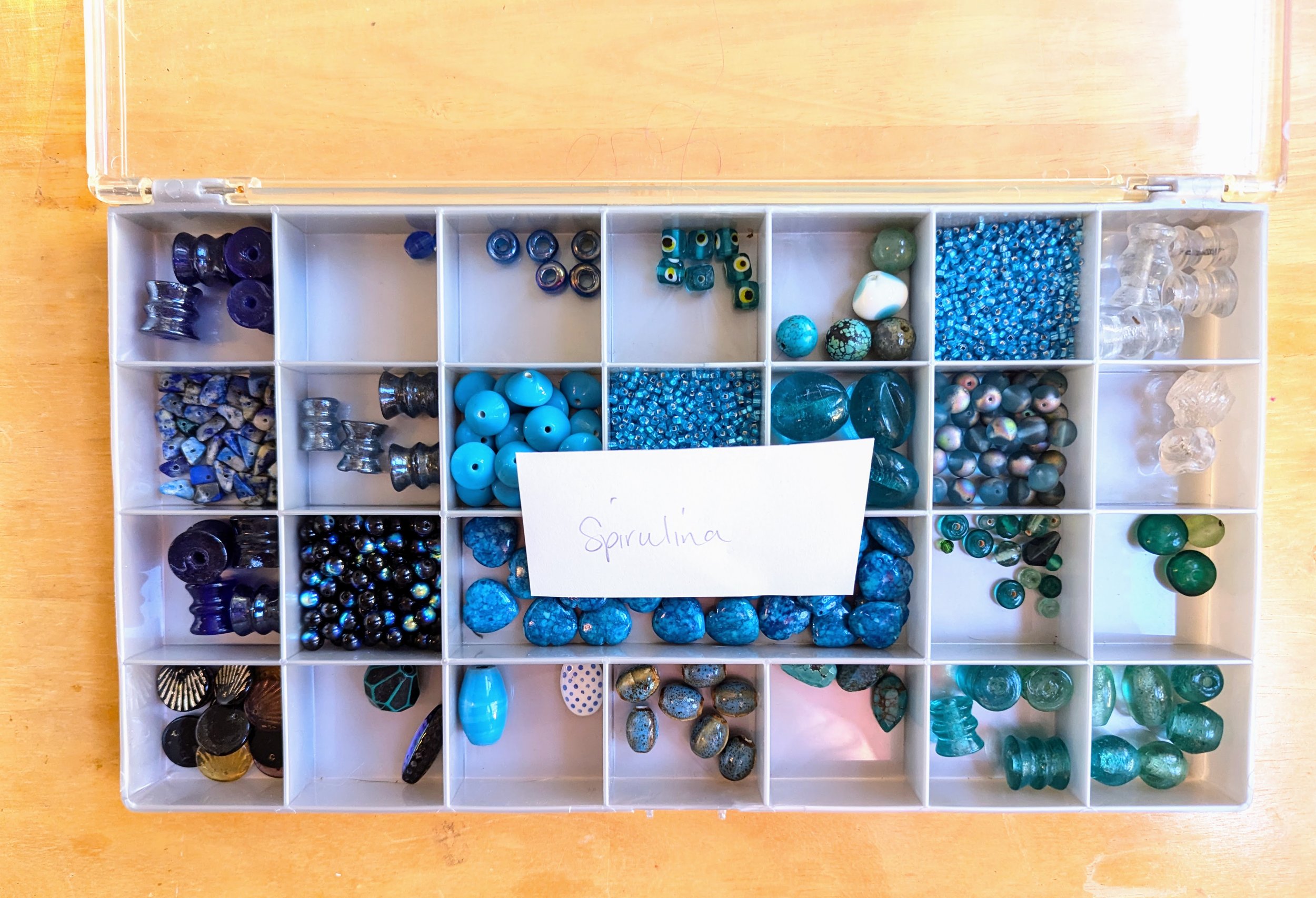 The Spirulina Collection – A Treasure Trove of Blues & Vintage Finds 💙✨