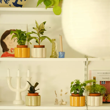 pepin+paula+pot+wit+met+textuur+4.png