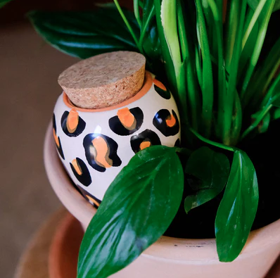 olla luipaard sfeer.png