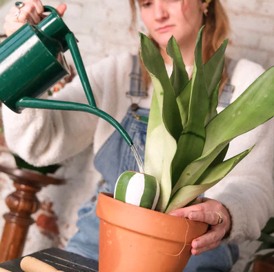 set van 3 mini waterdruppelaars Olla gestreept- pepin