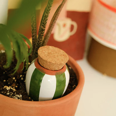 Waterdruppelaar Olla voor planten -pepin