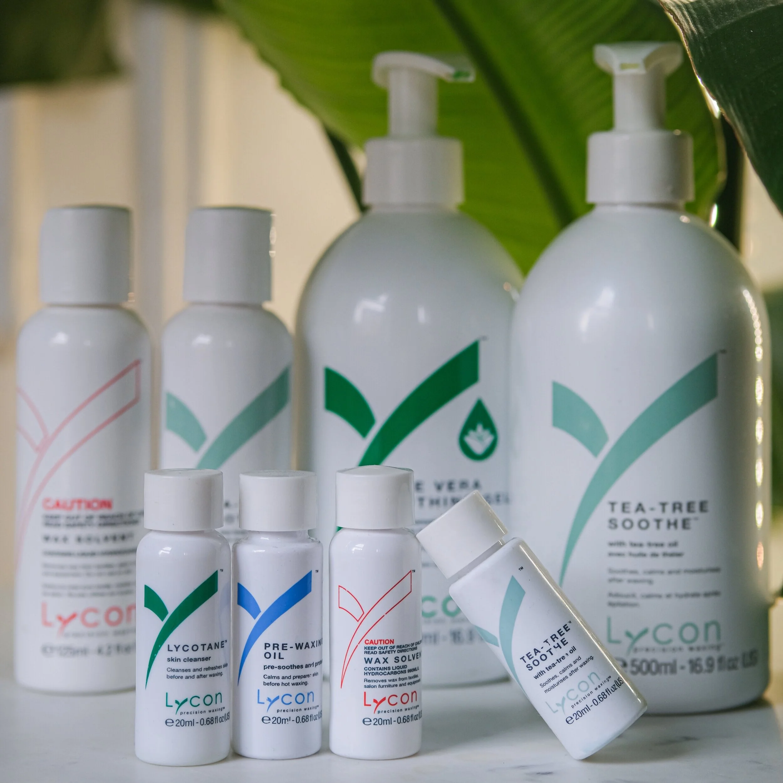 DSCF5402t.jpg