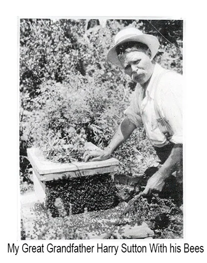 harry and his bees.jpg