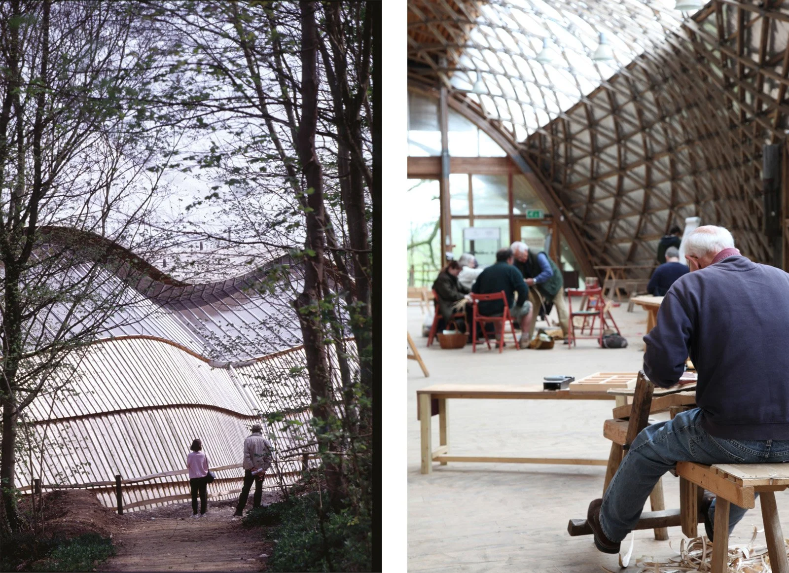 Project - Downland Gridshell — Cullinan Studio