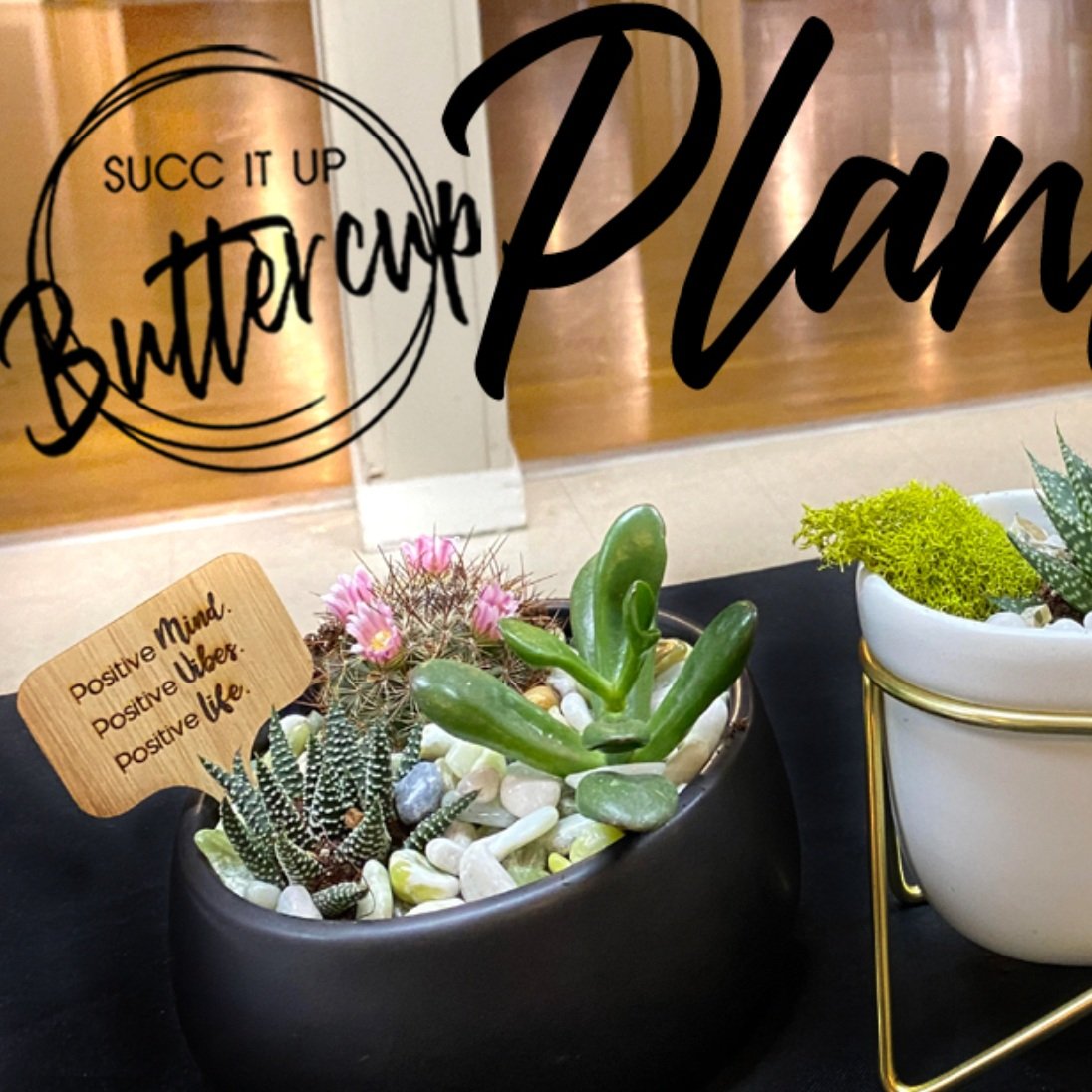 Plant Bar!