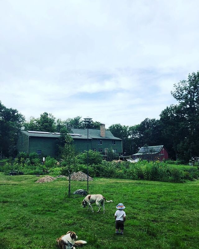 Soaking in the bounty at Fern Farm and of course the solar! Let us know if your farm, home, or business would like to harvest energy from the 🌞! #solar #gosolar #solarworld #solaredge #berkshires #berkshirecounty #torricoelectric #grenergysolar #gre