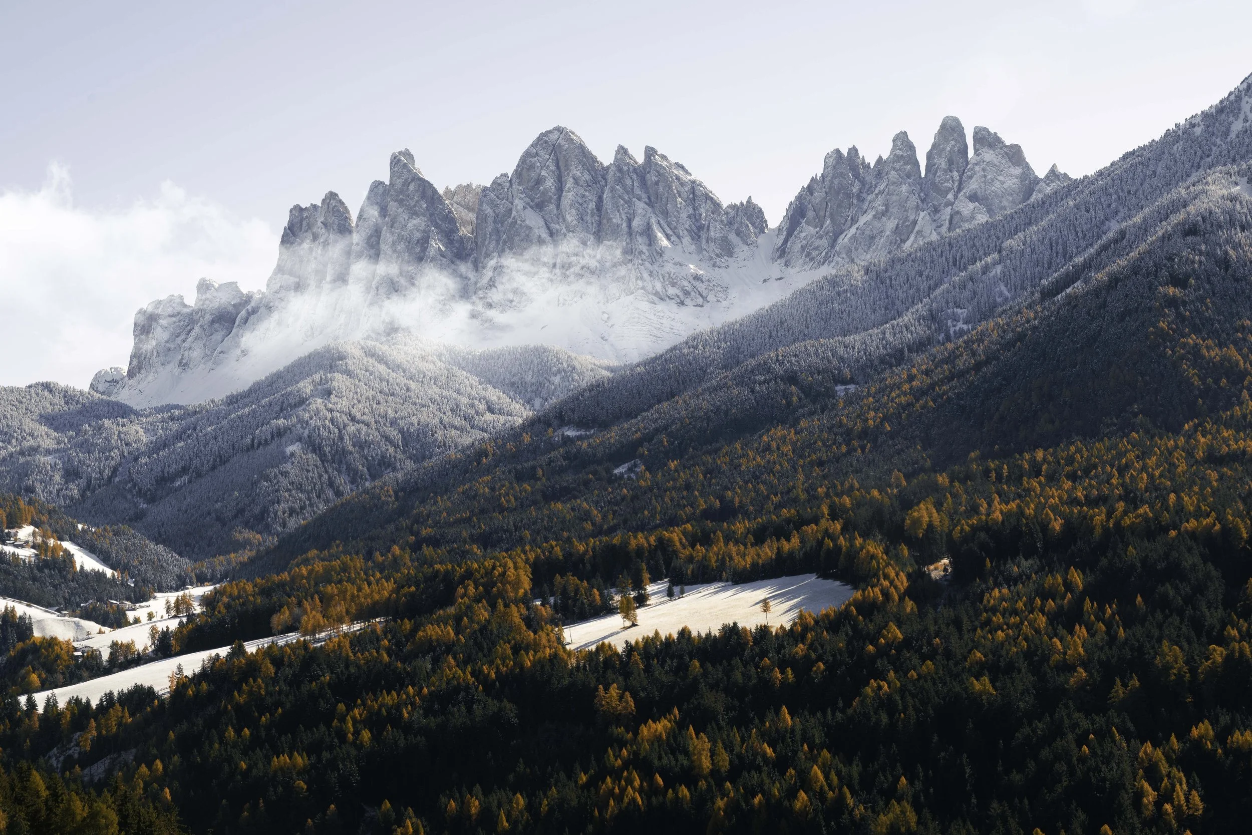 DSC_5796-Edit copy.jpg