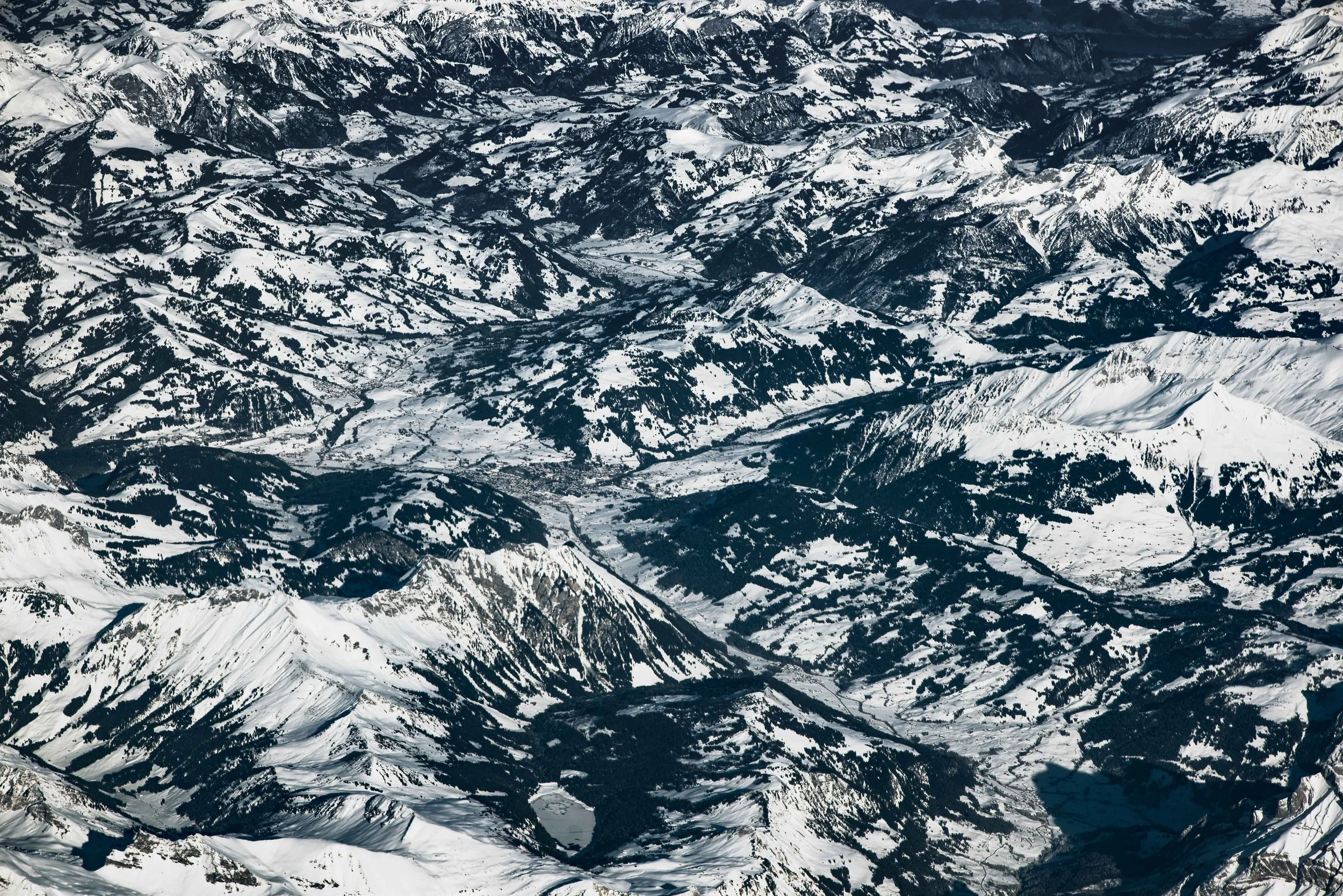 ZEG_4010final copy.jpg