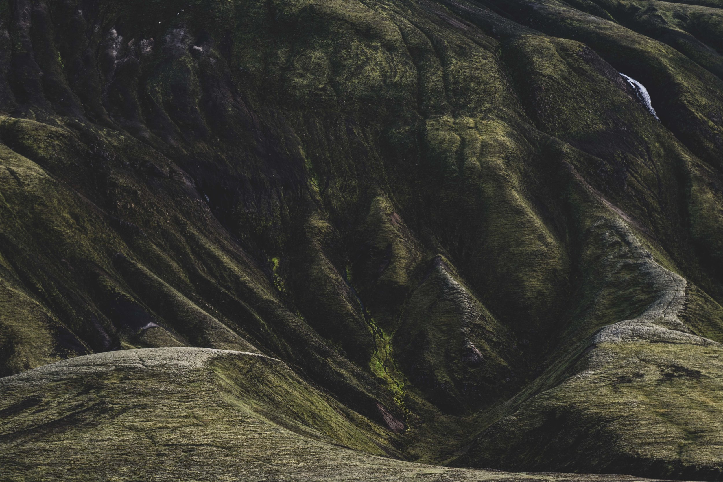 Iceland-Onderweg-Dag7-7.jpg