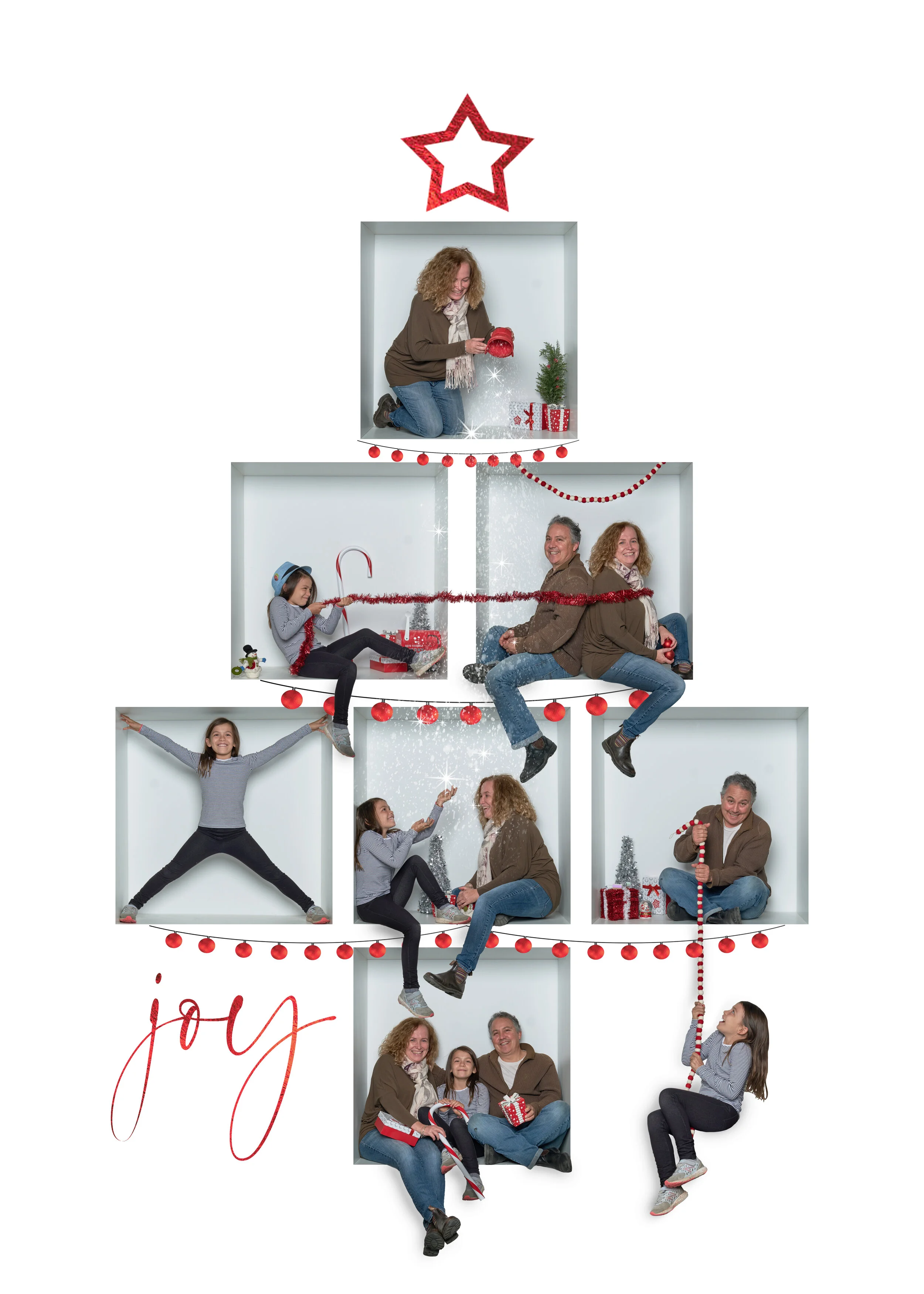 tree7box.jpg