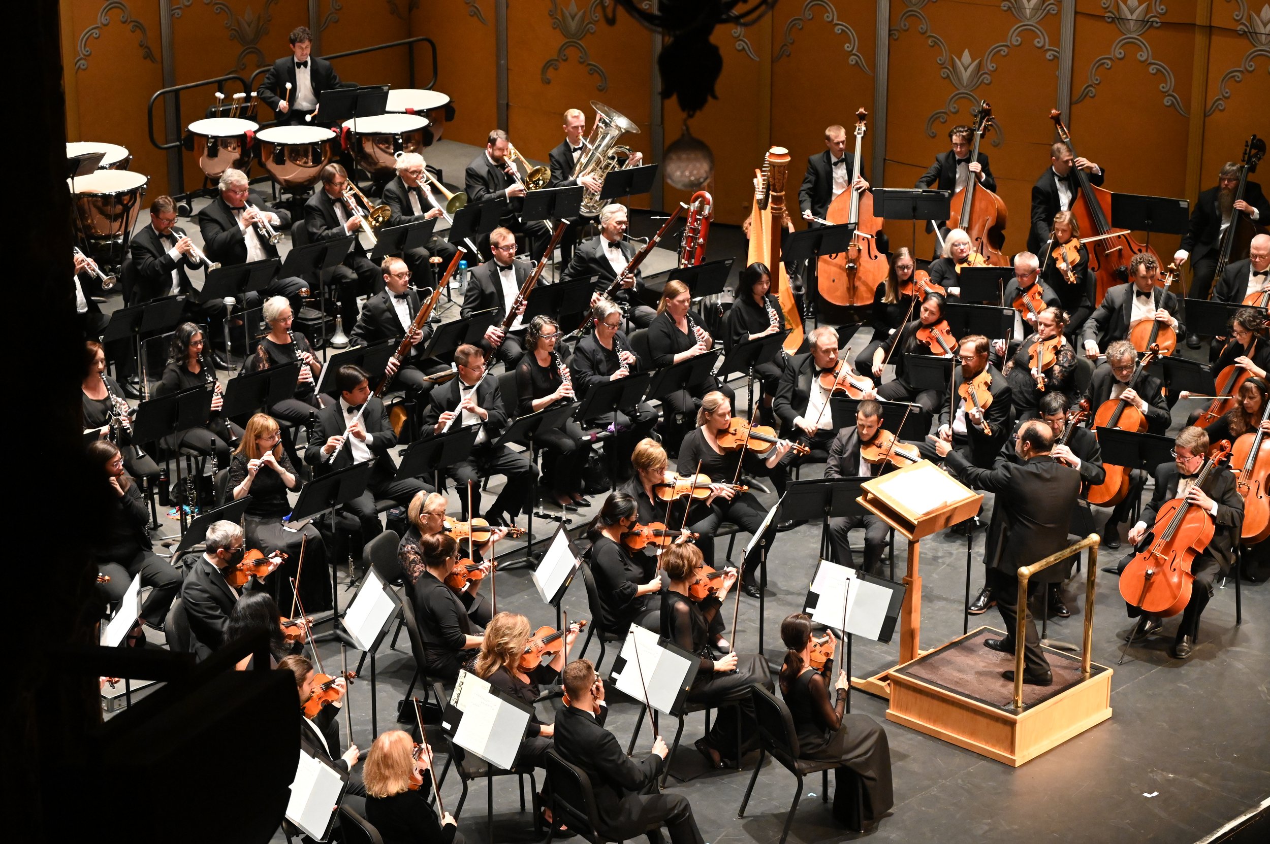 Full Orchestra 3.JPG