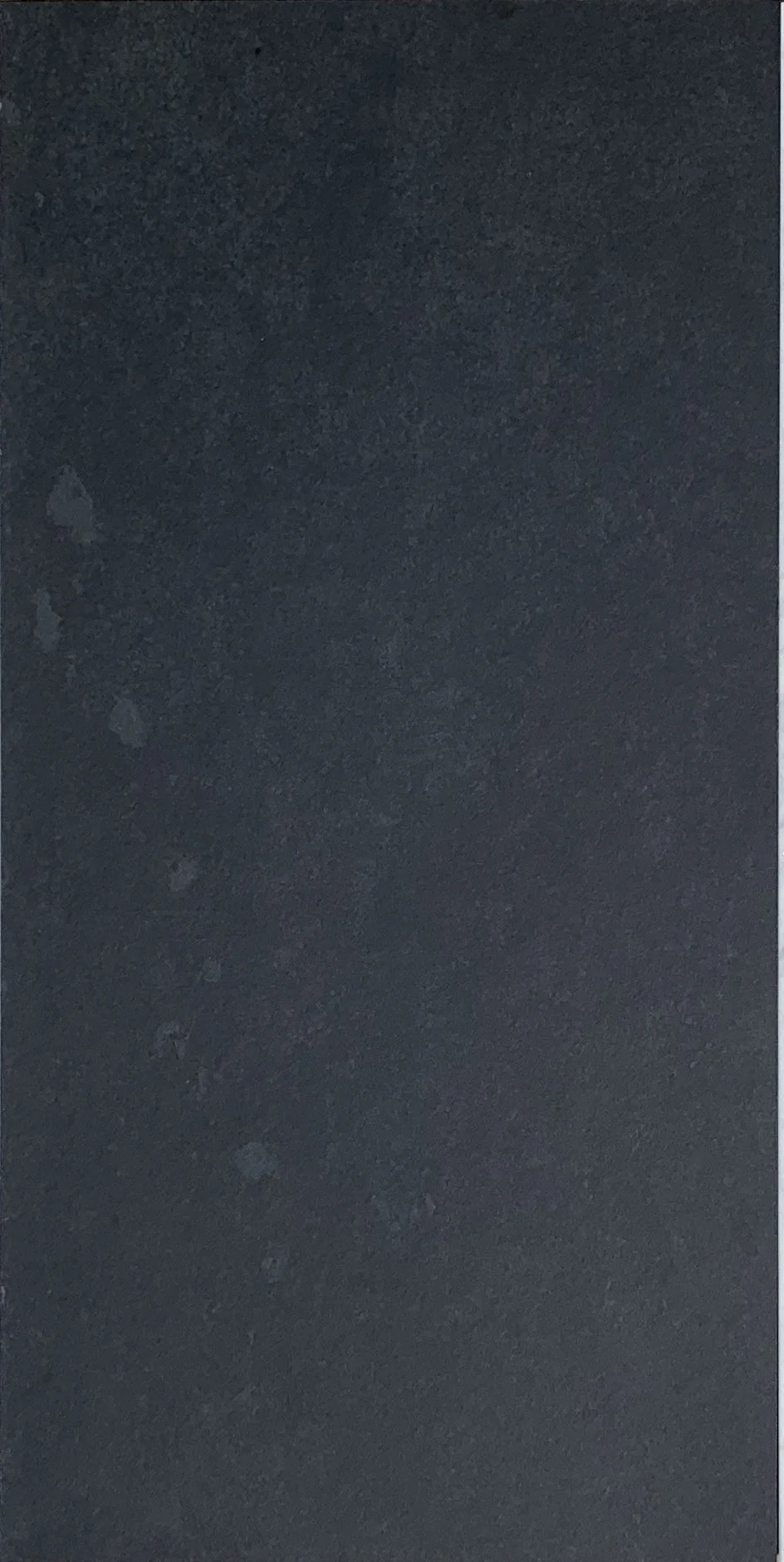 Black Blizzard 18x36.jpg