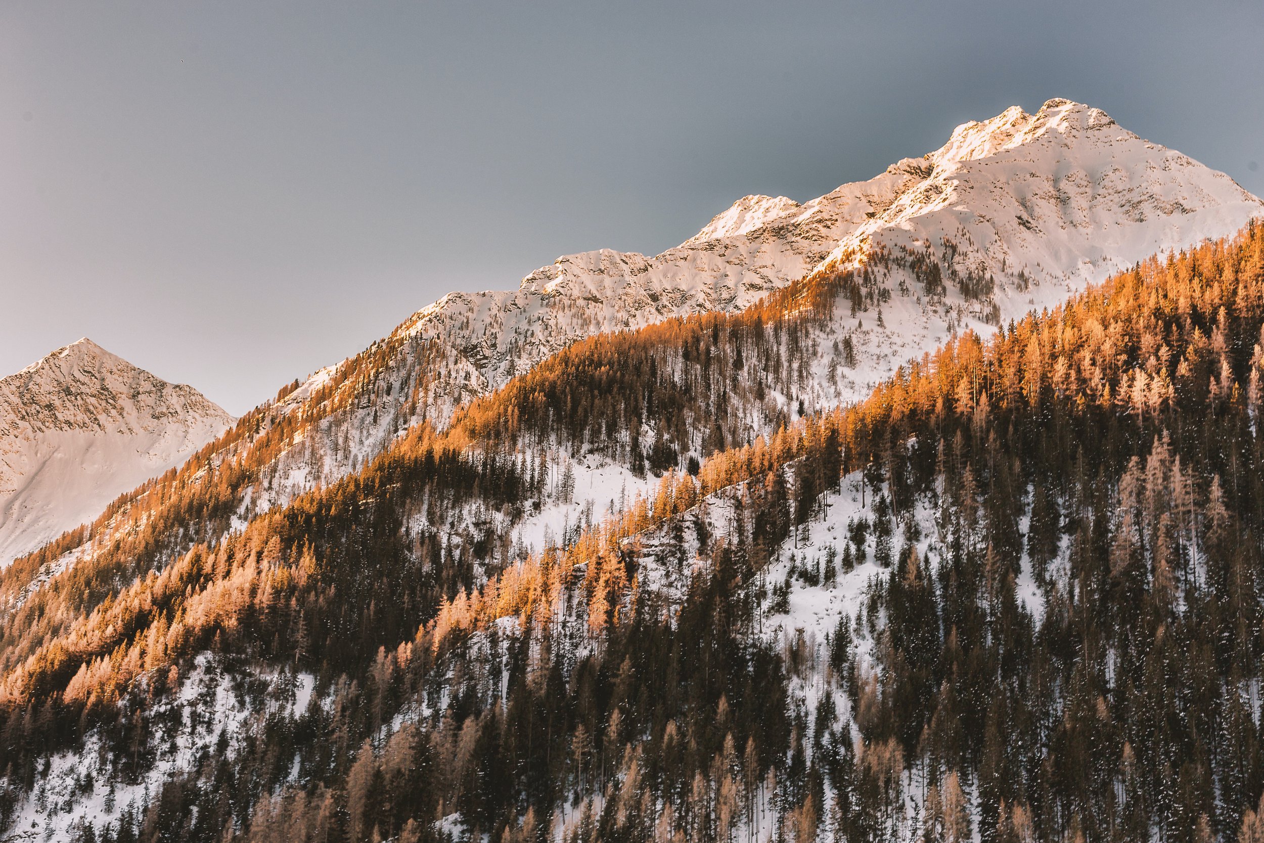 pexels-eberhard-grossgasteiger-944403.jpg