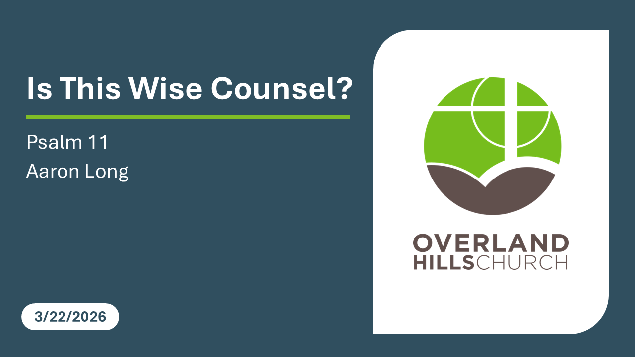 Is This Wise Counsel? (Psalm 11) [3/22/26]