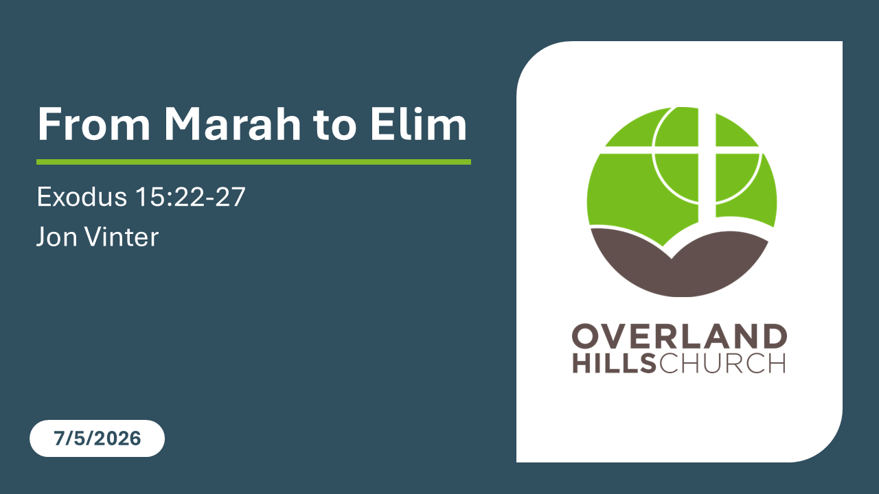 From Marah to Elim (Exodus 15:22-27) [7/5/26]