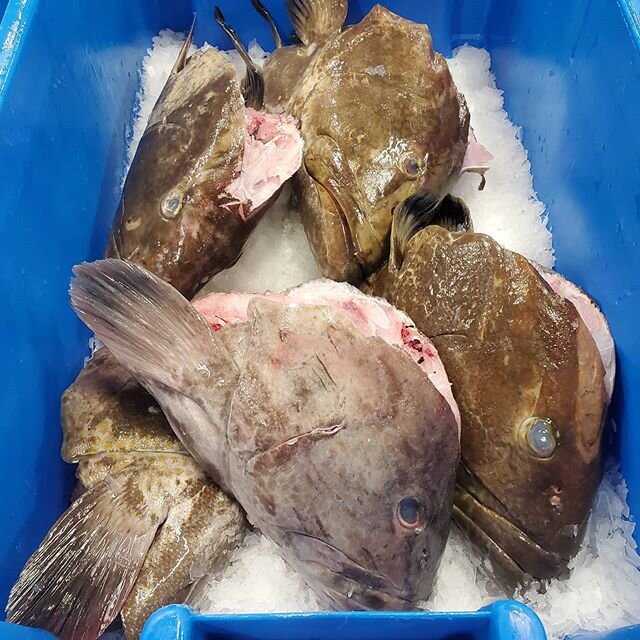 Get your collar meat for tacos and the  cheeks for a special treat from these SC black and gag grouper heads. We here @russosfreshseafood always stress how important it is to use the whole fish. Thanks to our hardworking fishermen for all you do day 