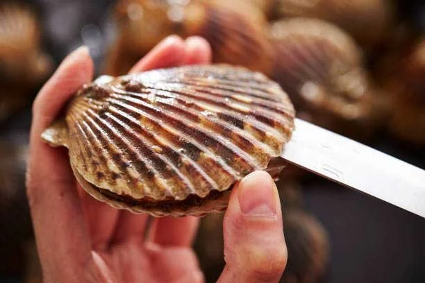 Russo's Fresh Seafood Bluffton Secures Exclusive Southeast Partnership with Leading Sustainable Seafood Provider, Fleet Fisheries