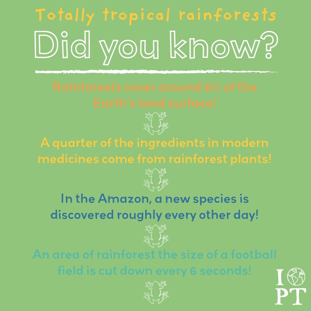 RAINFORESTS 🌱 Rainforests are filled with an incredible variety of plants and animals. They cover only a small portion of the Earth's surface but are home to over half of all plant and animal species, yet they are under huge threat from deforestatio