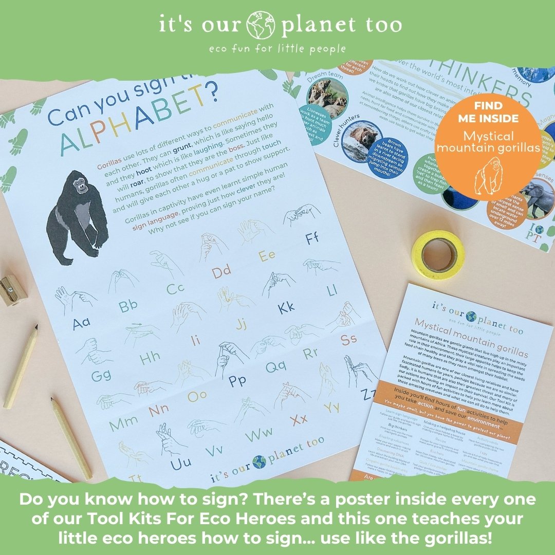 SIGN LANGUAGE 🌱 Did you know that gorillas in captivity have been taught simple sign language? Inside our 'Mystical mountain gorillas' themed Tool Kit there's a poster to teach your little eco heroes how to sign the alphabet. 

In fact, there's a po
