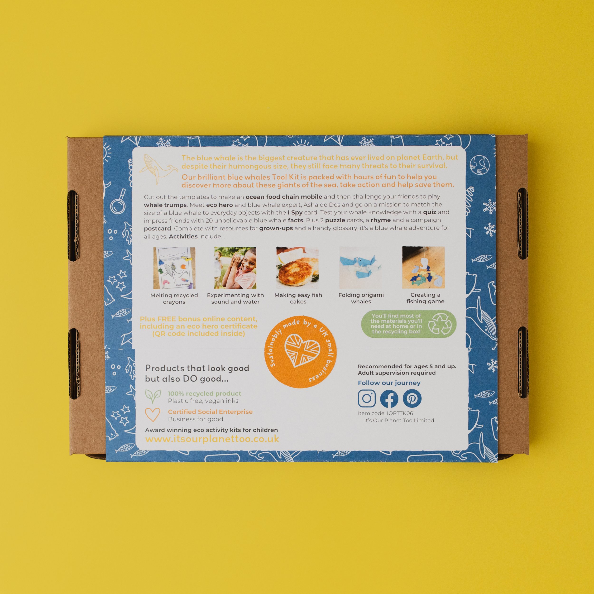 Box 6 - Brilliant blue whales - Box back.jpg
