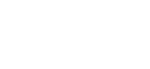 TDN_01.png