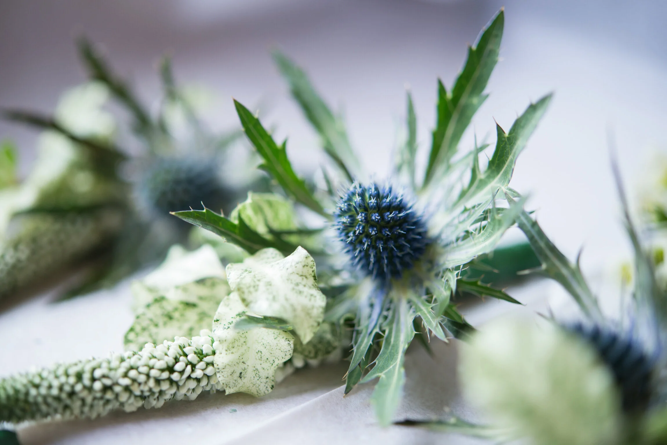 Photo@especiallyamy.co.uk