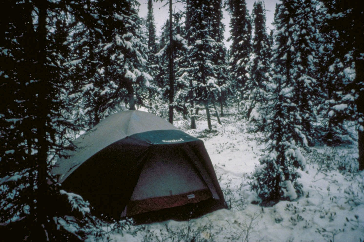 Day 3. Back to the river with a more modern tent. Unfortunately at -30ºF the elastic cords holding the poles together loose their elasticity and we were forced to remove our gloves and cut each shock cord free from the poles. (image 16 of 22)