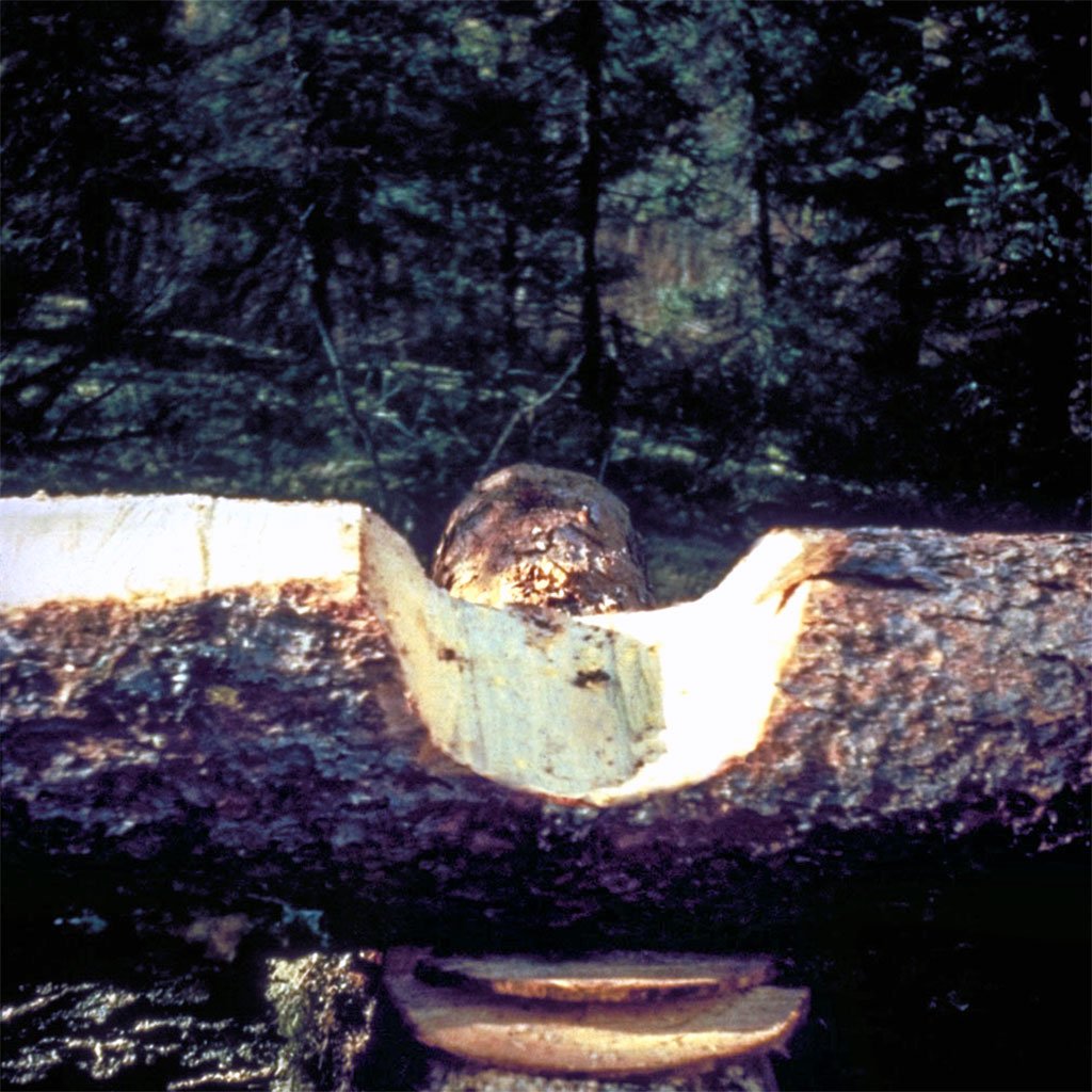 One of the notched logs. (image 10 of 32)