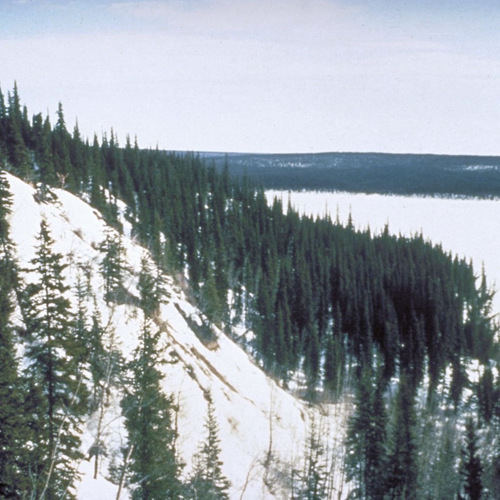 On the Churchill river, the only real elevation we encountered. You can see me doing a "Rocky" pose in the upper left of this image. (image 11 of 18)