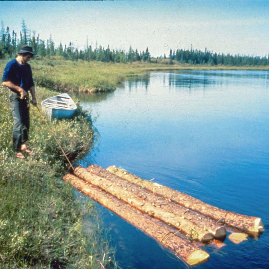 Our cabin site was roughly 2 miles upstream from our main cabin. This was the same spot I climbed the tree to discover our location when we were lost that first week. Logs would be felled a mile or so upstream, tied into rafts and floated down the ri