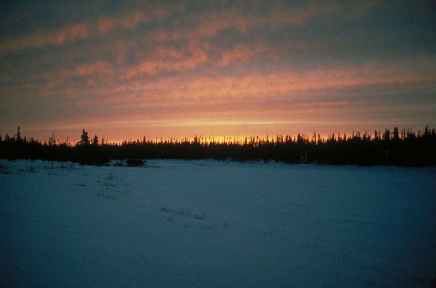 Uncertain if we'd survive through that first night, the sunrise was an incredible sight. (image 13 of 22)