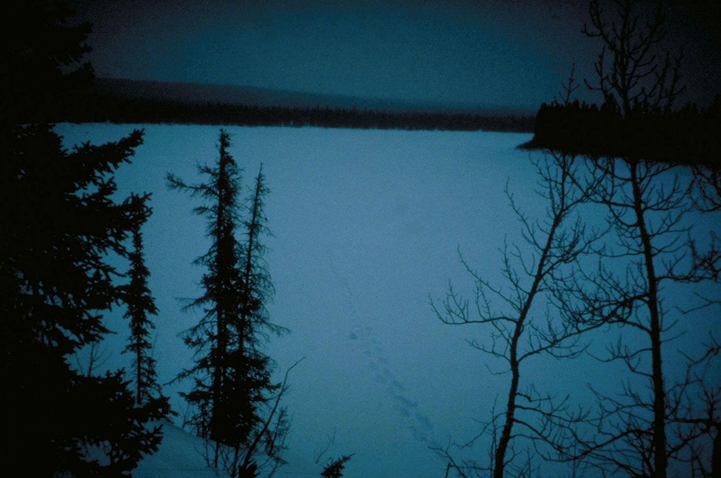 Arriving at the river with no cabin in site. (image 10 of 22)