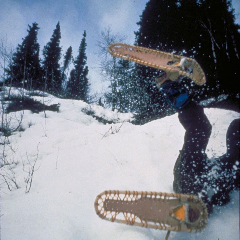 Wipe Out (image 13 of 18)