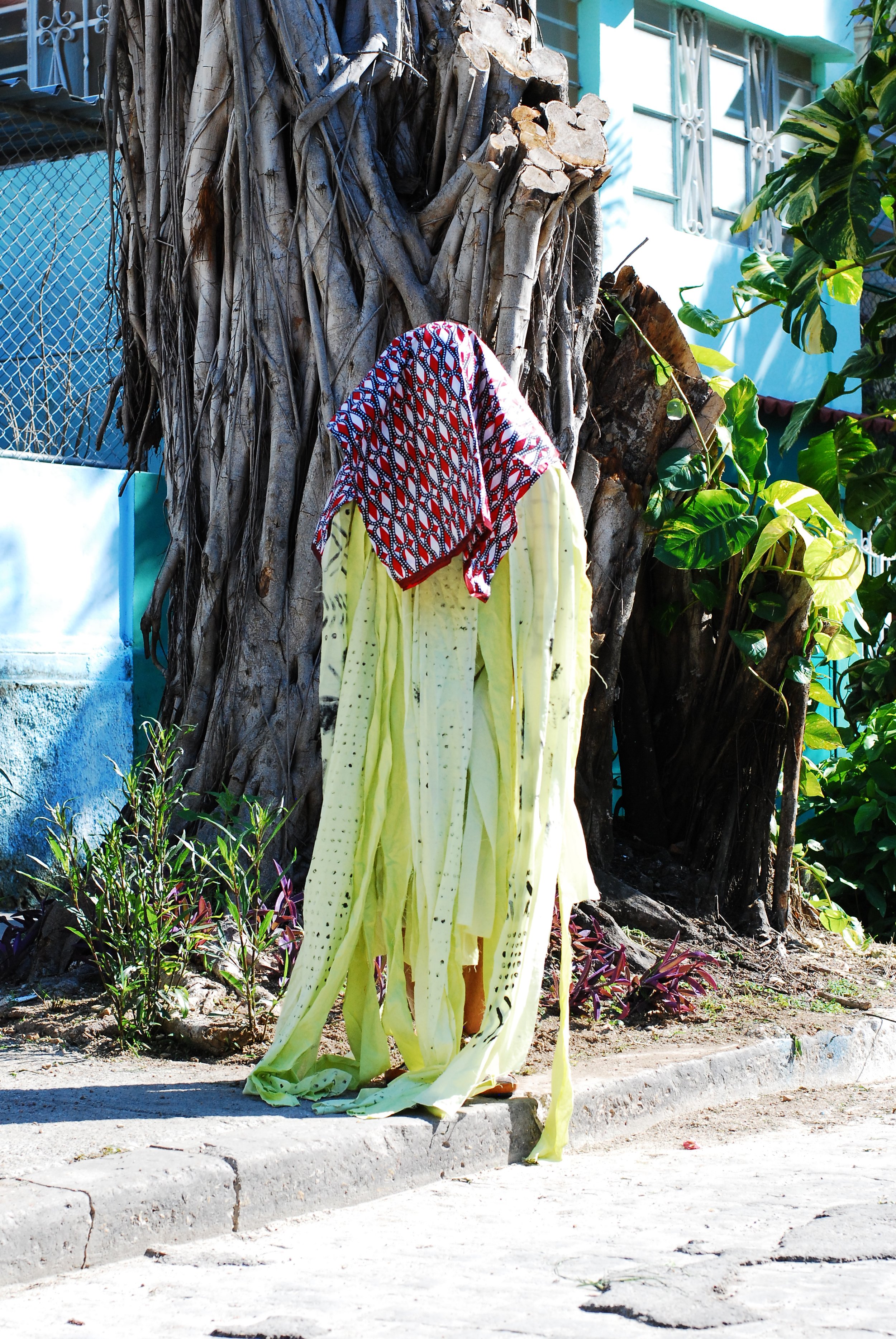 DSC_5281.JPG