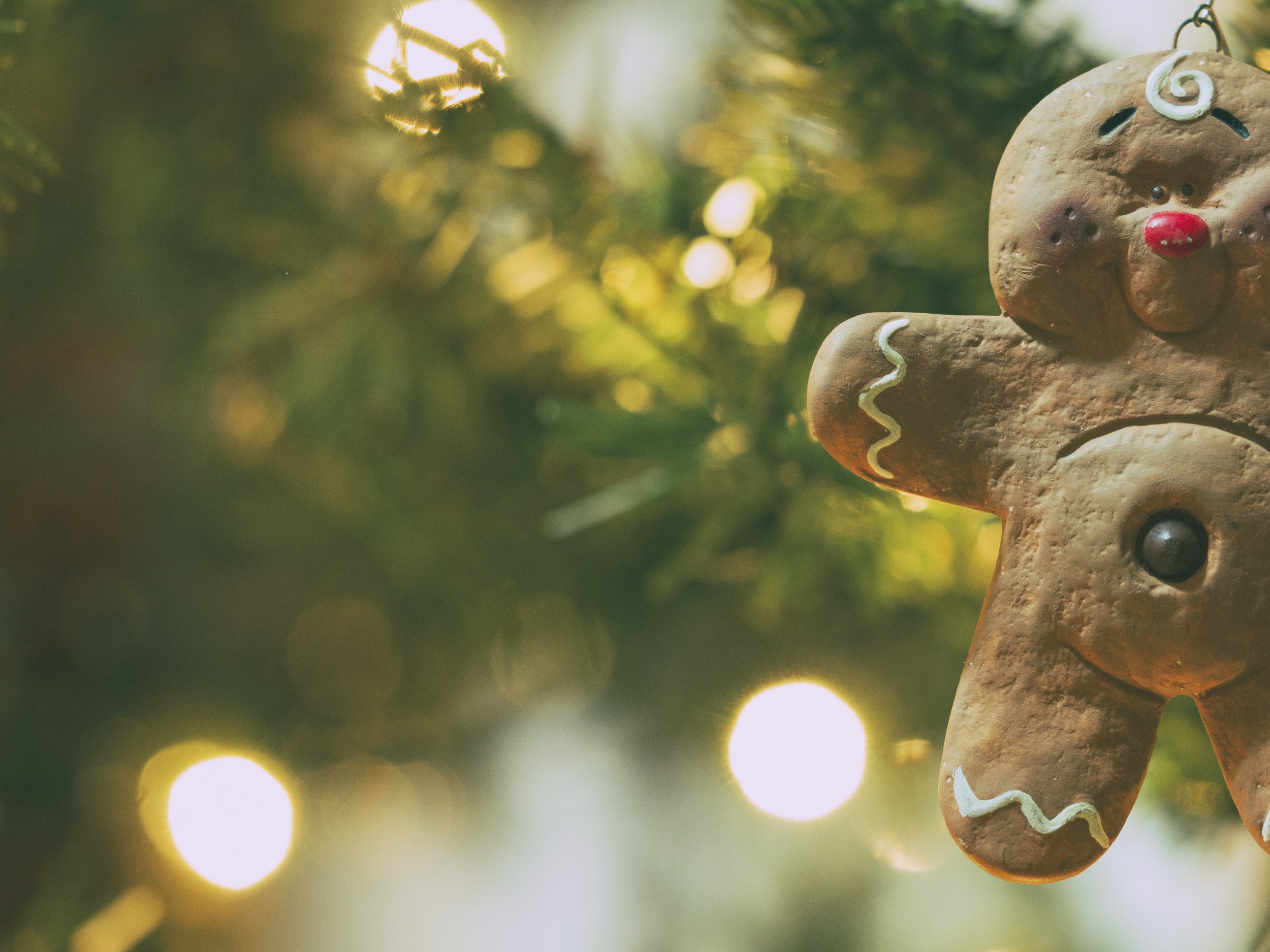 Tis the Season -- Chronic Pain During the Holidays
