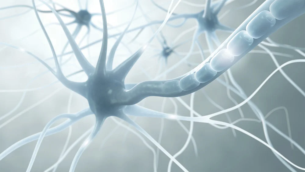 Peripheral Nerve Stimulation: Reduces Pain, Reduces Opioid Use
