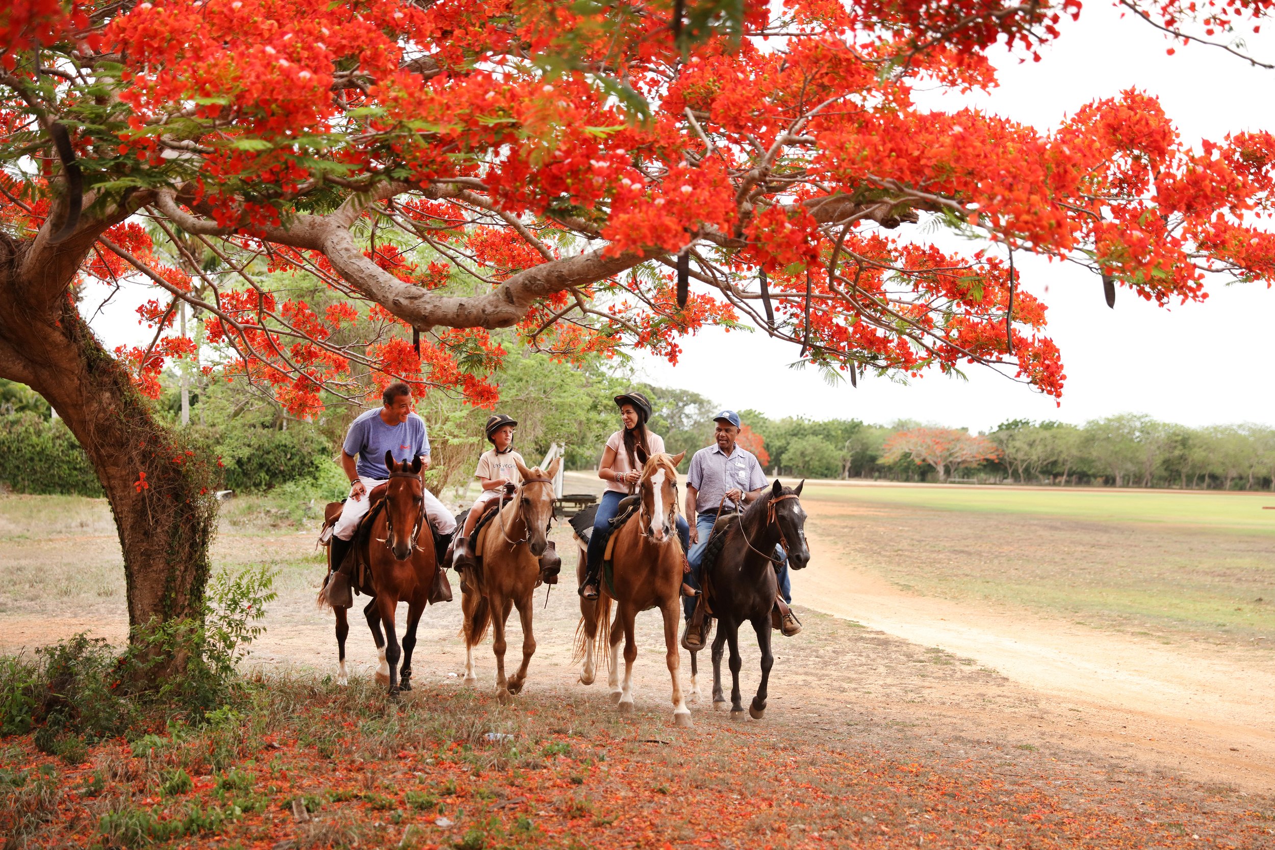 Casa de Campo-Sports_ Horseback ridding.JPG