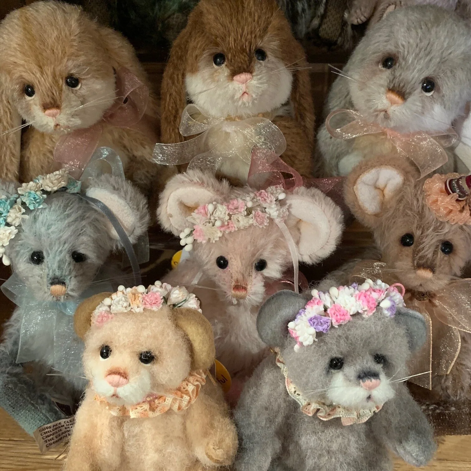 Kokos Bears PreOrder Collection