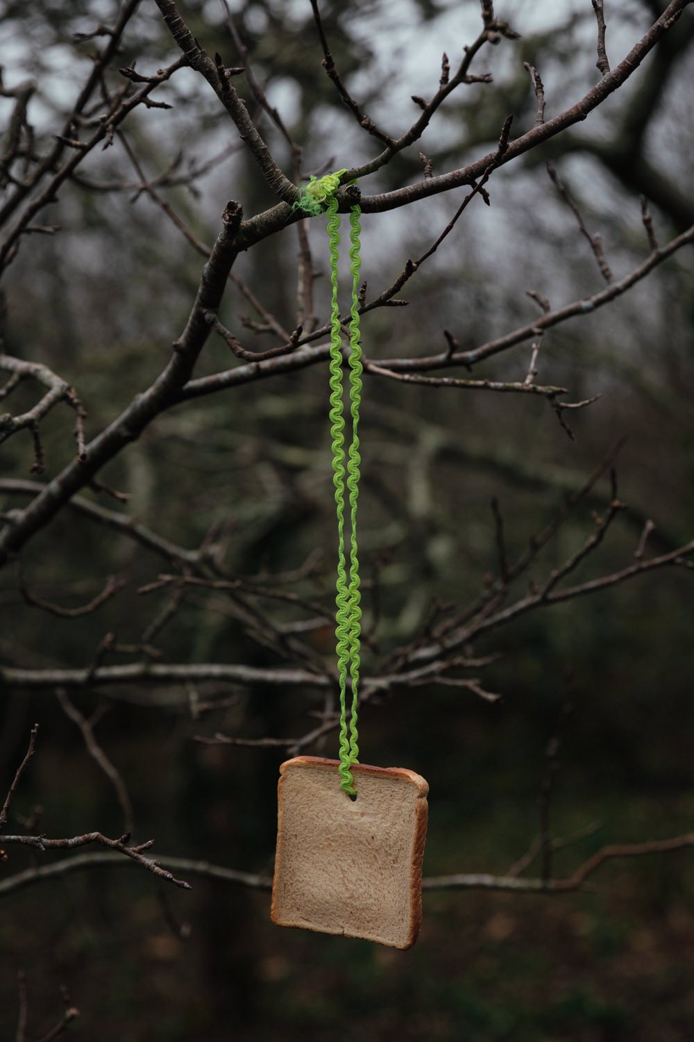 Acid Morris Wassail 25-16.jpg