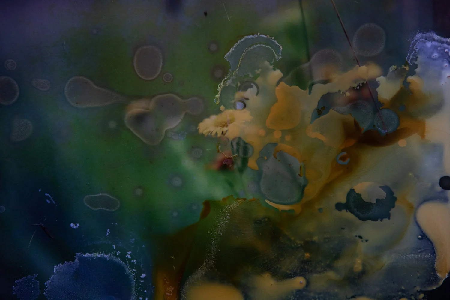 Pesticides-5.jpg
