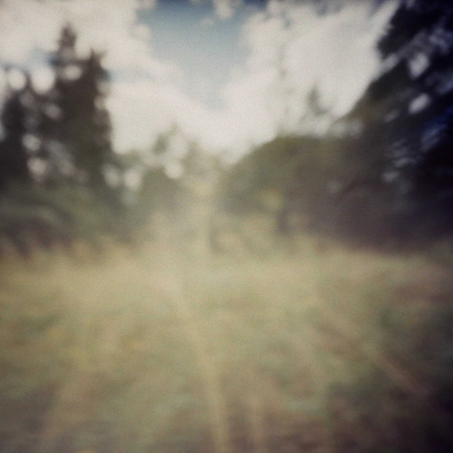 Pinhole-21.jpg