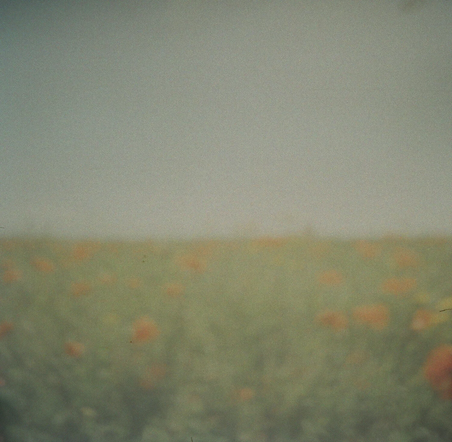 pinhole-11.jpg