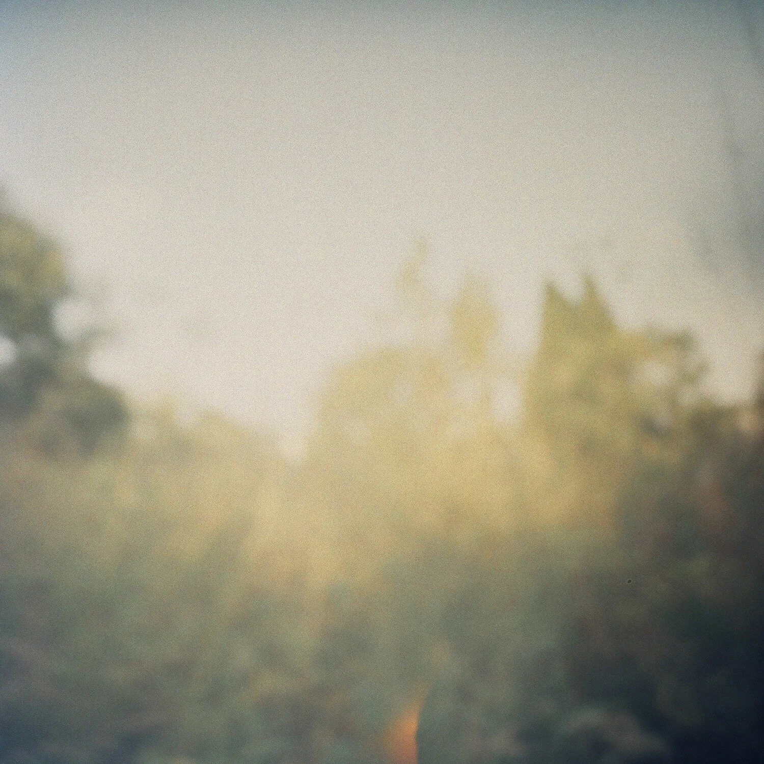 Pinhole-20.jpg